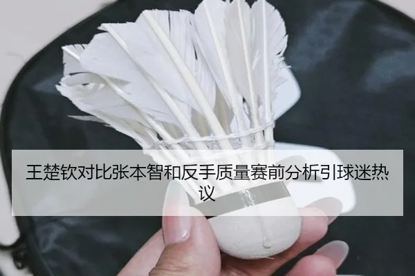王楚钦对比张本智和反手质量赛前分析引球迷热议